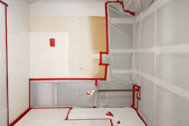 Reliable South Browning, MT Mold Removal Solutions