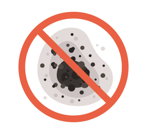  South Browning, MT Mold Removal Pros