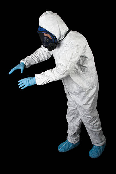 Best Mold Documentation for Insurance Claims  in South Browning, MT