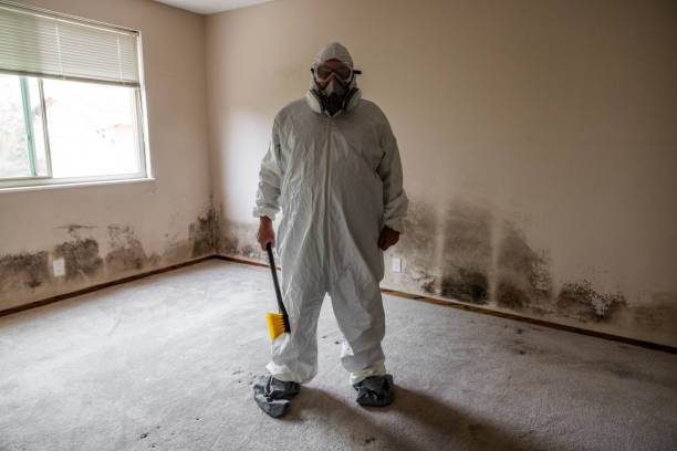 Best Industrial Mold Remediation  in South Browning, MT