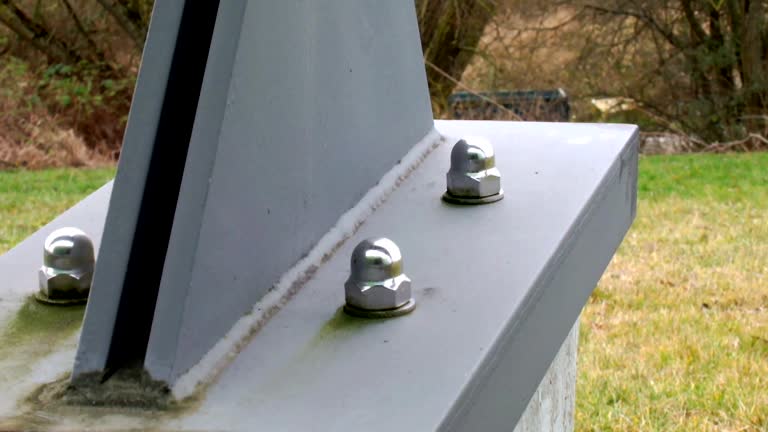 Best Commercial Mold Inspection  in South Browning, MT